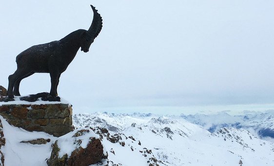 Incêndio em Crans-Montana deixa entidades da ONU em Genebra em choque